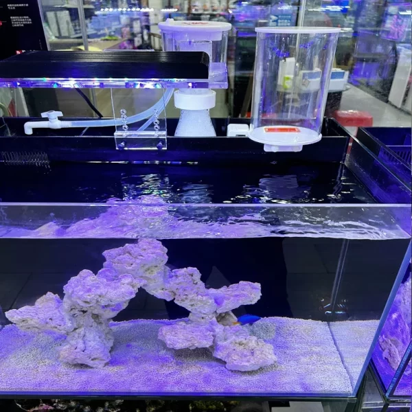 2L 4L fish tank automatic water replenisher back filter sea water tank grass tank water replenishment bucket automatic - Image 4