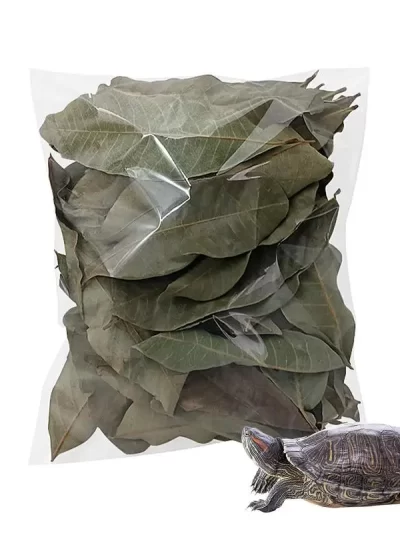 Aquarium Longan Leaves Aquarium Leaf Betta Fish Tank Accessories Toys Betta Fish Toys Longan Leaves Aquarium Accessories 50Pcs