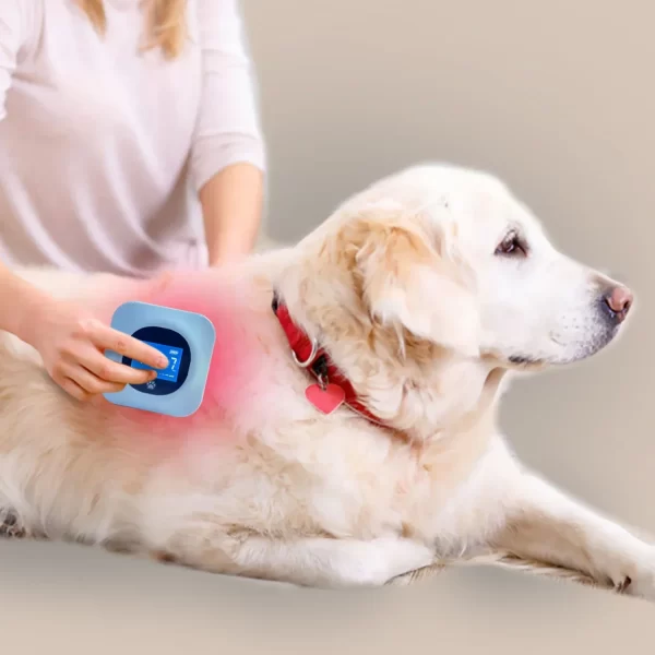 Pet supplies 808nm di--ode other veterinary instrument red light therapy panel - Image 6