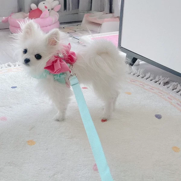 Green Pet Dog Harness Leash 2 Set Fashion Korean Pink Bow Teddy Collar Dog Walking Rope Chain For Small Medium Pet Dog Harness