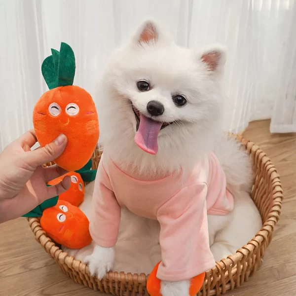 Cute Dog Toys Squeak Chew Chicken Leg Plush Interactive Toy For Cat Dog Accessories Pet Supplies Relieve Stress, Be Fun And Safe - Image 16