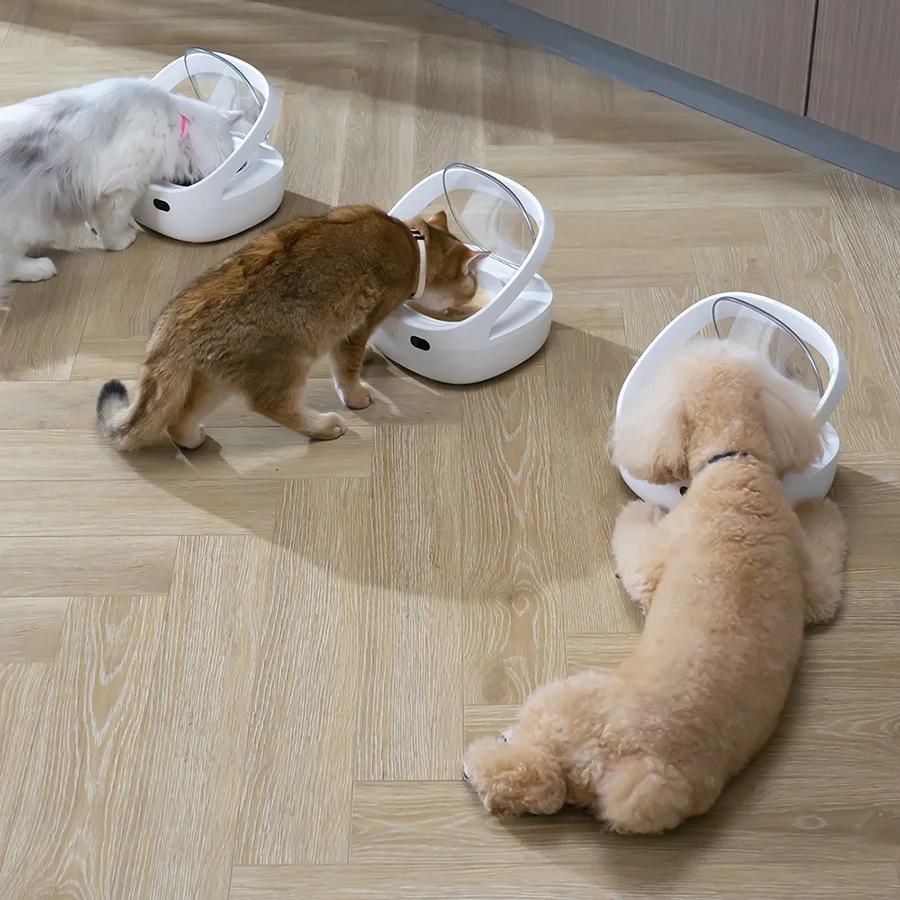 Smart Feeder Anti-snatch Replacement Chip Recognition Sensor Automatic Feeder, Dog and Cat Food Dispenser Prevent Stealing Food - Image 4