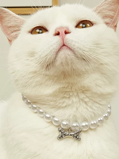 Adjustable Pet Pearl Necklace Accessories for Cats Gotas Animals Fashion Rhinestones Sphynx Cat Collar Kitten Dog collier chat
