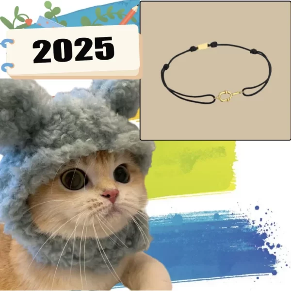 2025 New high-end Spanish fashion cat accessories, fashionable pet gifts holiday party gifts, high-quality high-end products 10 - Image 4