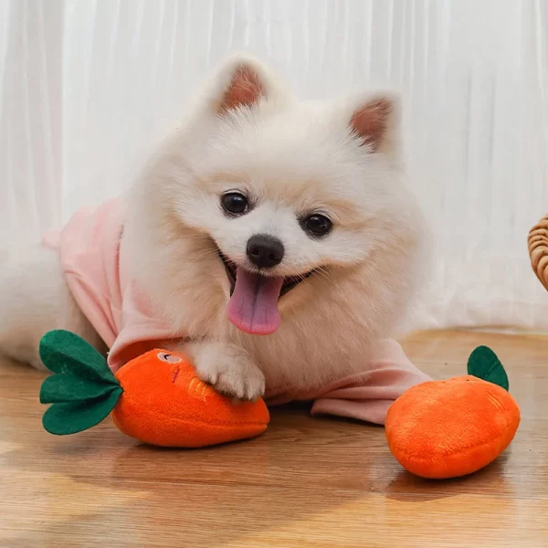 Cute Dog Toys Squeak Chew Chicken Leg Plush Interactive Toy For Cat Dog Accessories Pet Supplies Relieve Stress, Be Fun And Safe - Image 11