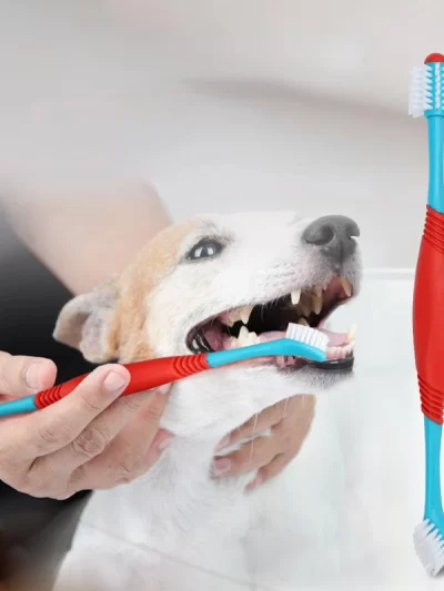 Pet Double Head Dog Toothbrush Pet Tooth Cleaning Tools Dental Care for Pet Cat Grooming Toothbrush Pet Supplies