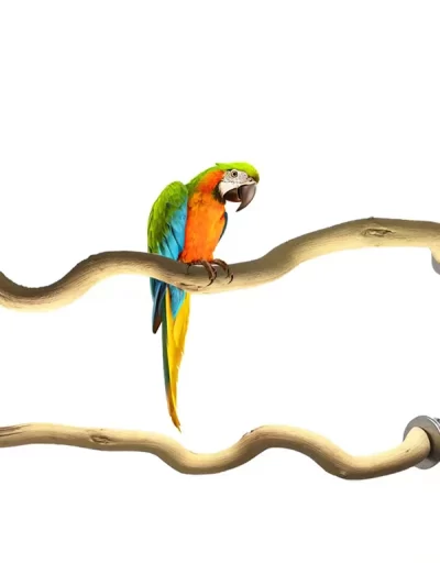 Natural Parrot Wood Fork Branch Perch Bird Cage Hanging Swing Bird Standing Branches Toys Birdcage Accessoriess