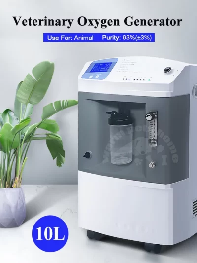 Veterinary Oxygen Machine 10L Pet Hospital Equipment High Flow Oxygen Generator Vet Machine