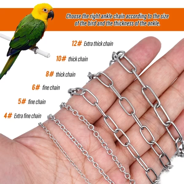 Parrot Leg Ring Ankle Foot Chain Bird Ring Outdoor Flying Training Activity Opening Stand Accessories for Small Bird  Supplies - Image 4