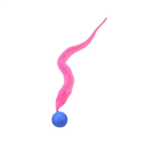 Cat Interactive Toys Tickle Cat Colorful Bouncing Ball Pet Supplies Puzzle Teasing Indoor Cat Worm Caterpillar Elastic Toy - Image 5