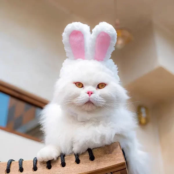 Cute Bear Rabbit Hooded Pet Cat Dog Accessories Cosplay Cat Hat Winter Lovely New Year Puppy Headgear Soft Velvet Pets Supplies - Image 4