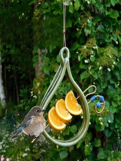New Outdoor Pet Bird Feeder Wrought Iron Novel Stainless Steel Food Utensils Hot Feeder Bird Cage