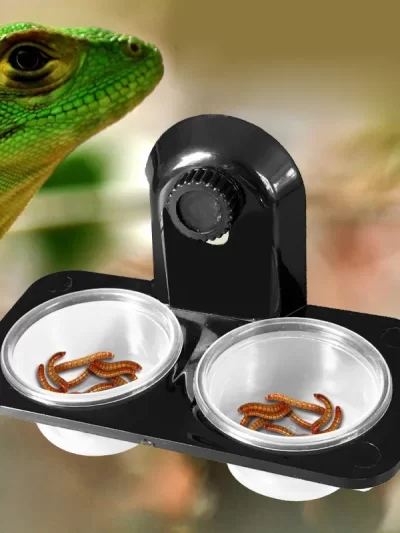 1pcs Reptile Tank Insect Spider Ants Nest Snake Gecko Food Water Feeding Bowl Breeding Feeders Box Pets Supplies
