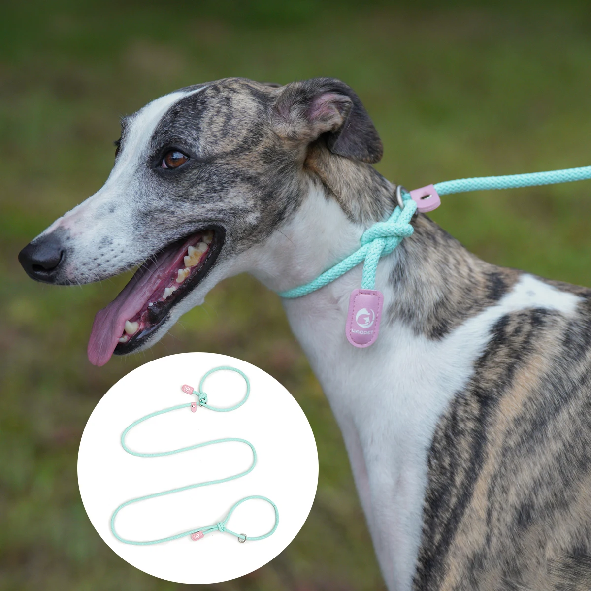 For Large and medium small Dogs leashes Pet Nylon Walking dog Traction rope Adjustable Macaron color Explosion proof Slip Rope - Image 3