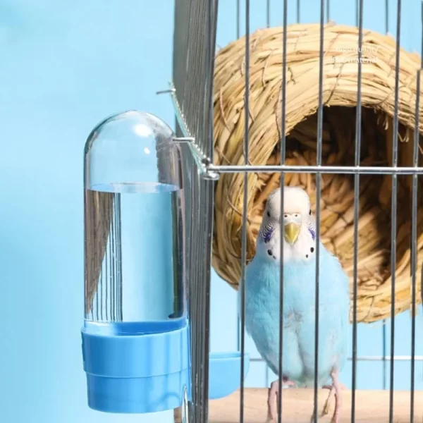 Hanging Pet Feeder Squirrel Parrot Water Dispenser Pet Bird Food Box Cage Accessories Birds Supplies - Image 11