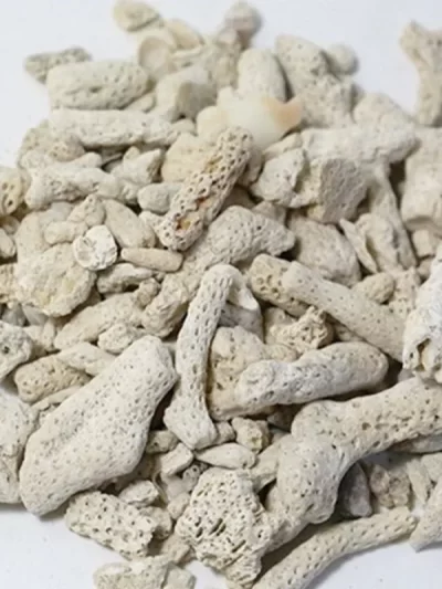 100g Aquarium Filter Media Natural Coral Bone Biological Filter for Fish Tank Aquarium Accessories