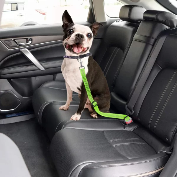 Pet supplies, car seat belts, dog leashes, retractable cushioning, elastic reflective safety ropes, dog leashes - Image 2
