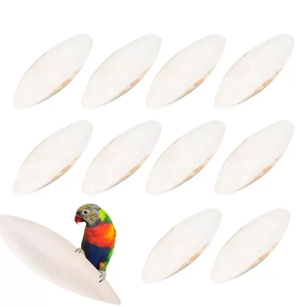 10pcs Cuttlefish Sepia Bone Parrot Chewing Cuttle Bone Bird Food Calcium Pickstone Parakeets Budgies Cockatiels Cuttlebone Toy - Image 7
