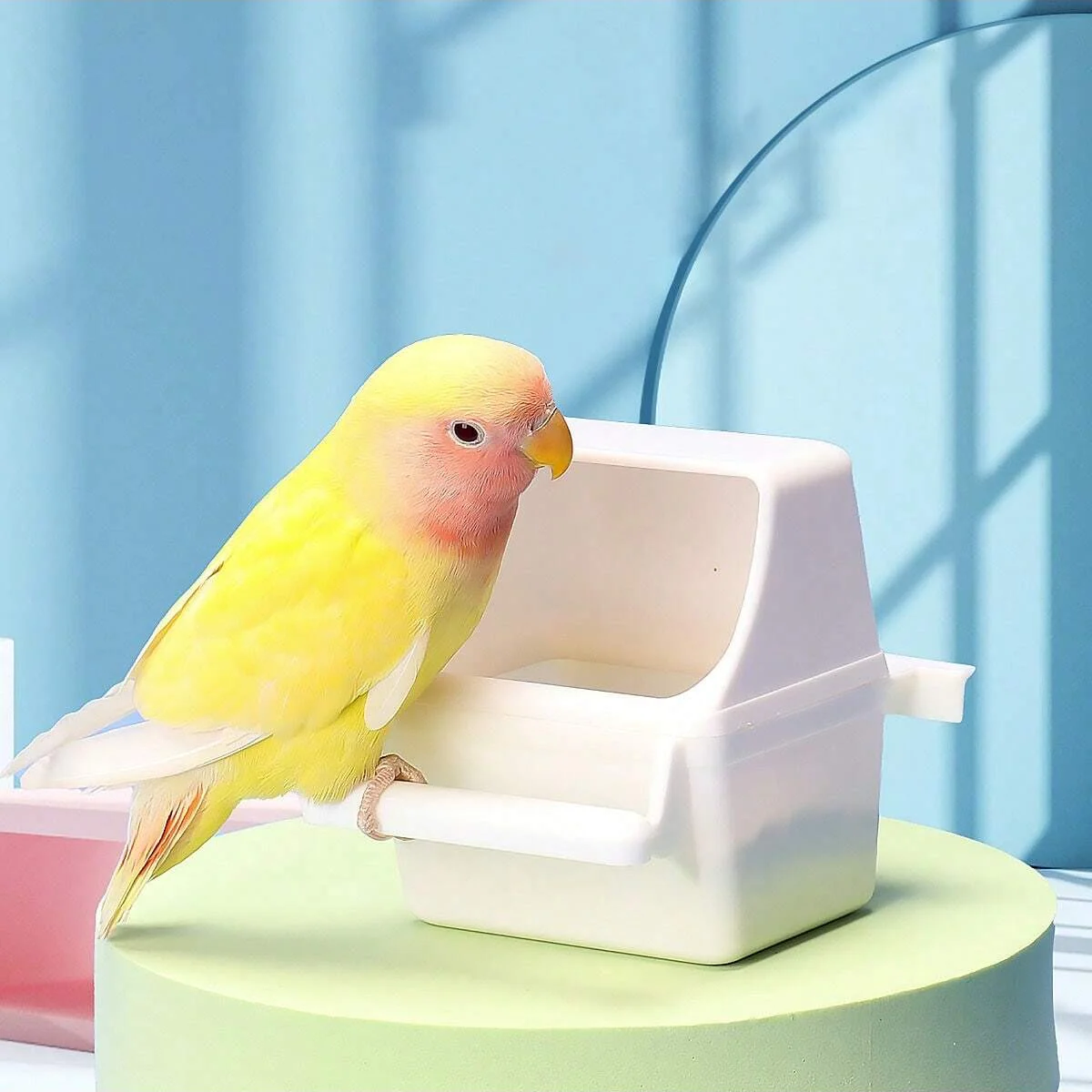 1pc-Acrylic feeding tool for small poultry, splash proof bird food container - Image 8