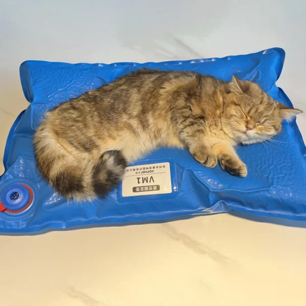 Animal Surgical Accessories Pet Vacuum Positioning Mat Small Veterinary Examination Pad Pet Care Room - Image 3