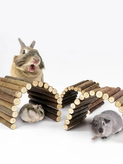 Pet Rat Accessories Wooden Bridge Toys for Rabbits Teething Supplies Small Animals Clmbing Ladder Chew Toy Juguetes Conejos