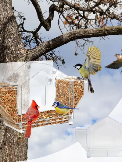 Bird Feeder For Window Window Parrot Feeder Spacious Design Bird Feeding House For Macaws Parrot Sparrow Parakeet