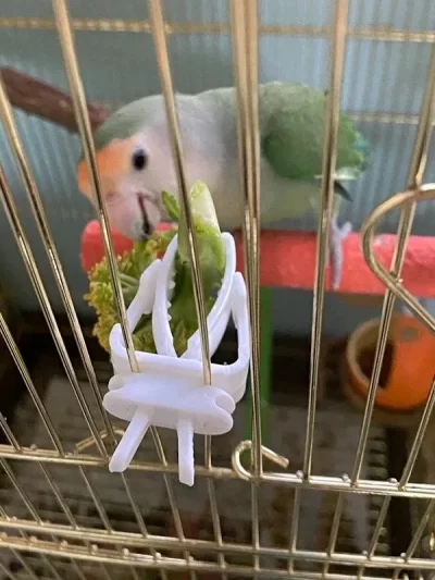 Cute Small Pet Bird Food Holder Parrot Fruits Vegetables Clip Cuttlefish Bone Feeder Device Clamp Bird Cage Accessories Oiseaux
