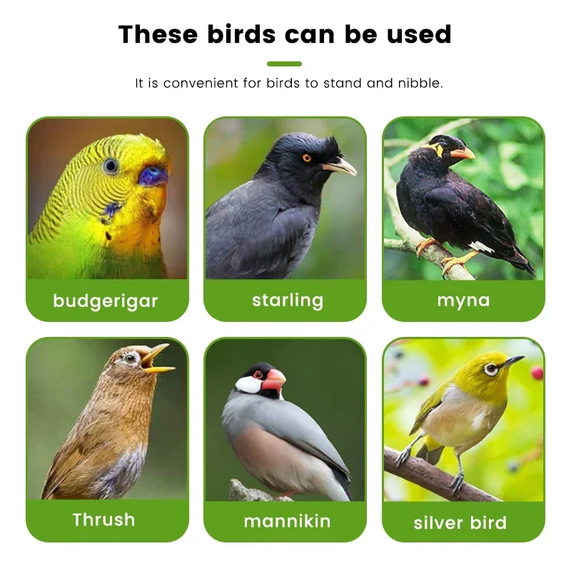 Bird Cuttlebone Holder Parrot Feeder Hanging Veggie Fruit Cup Accessories for Cockatiel Budgies Durable Non Toxic Easy Clean Bir - Image 11