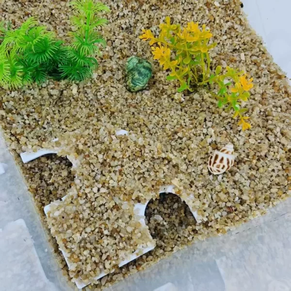 Fish Tank Accessories 3D Print Fish Shelter Cave Plastic Decorative Fish Tunnel Betta Shelter Artificial Resting Cave Aquariums - Image 4