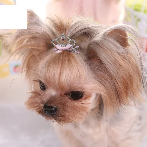 Dog Accessories Pet Grooming for Puppy Cat Dog Hair Clip Crown Bow Pet Hairpins Dog Multicolor Cat Headwear Pet Accessories - Image 18