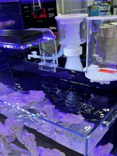 2L 4L fish tank automatic water replenisher back filter sea water tank grass tank water replenishment bucket automatic