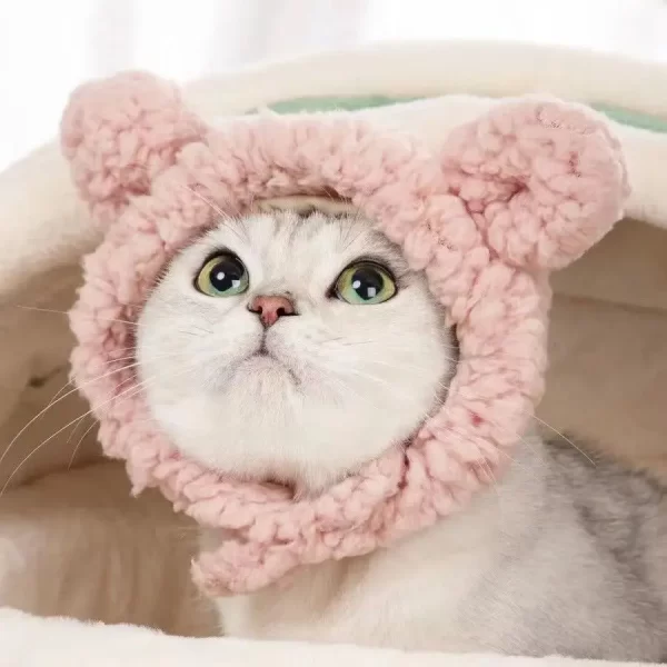 Cute Bear Rabbit Hooded Pet Cat Dog Accessories Cosplay Cat Hat Winter Lovely New Year Puppy Headgear Soft Velvet Pets Supplies - Image 15