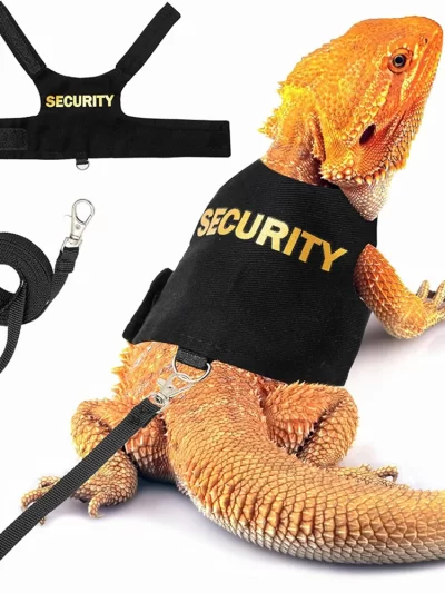 Reptile Leash Harness Soft Padding Dragon Wings Vest with Hook and Loop for Small Animals Cute Security Clothes