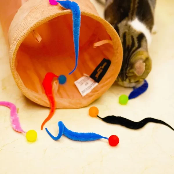 Cat Interactive Toys Tickle Cat Colorful Bouncing Ball Pet Supplies Puzzle Teasing Indoor Cat Worm Caterpillar Elastic Toy - Image 2