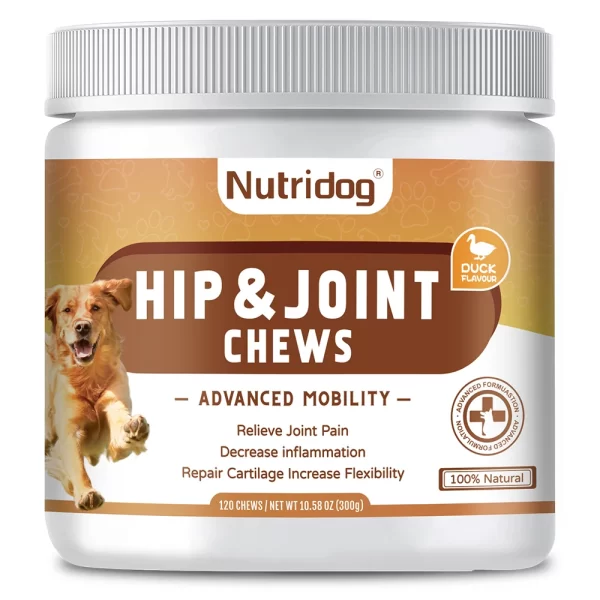 Anti-allergic & hip joint & calming & probiotic dog food for dogs full stage comprehensive nutrition-120 soft chews - Image 5