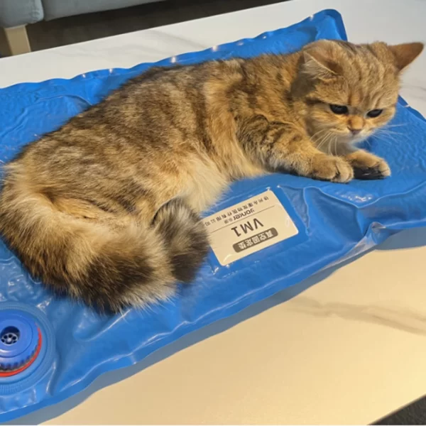Animal Surgical Accessories Pet Vacuum Positioning Mat Small Veterinary Examination Pad Pet Care Room - Image 5