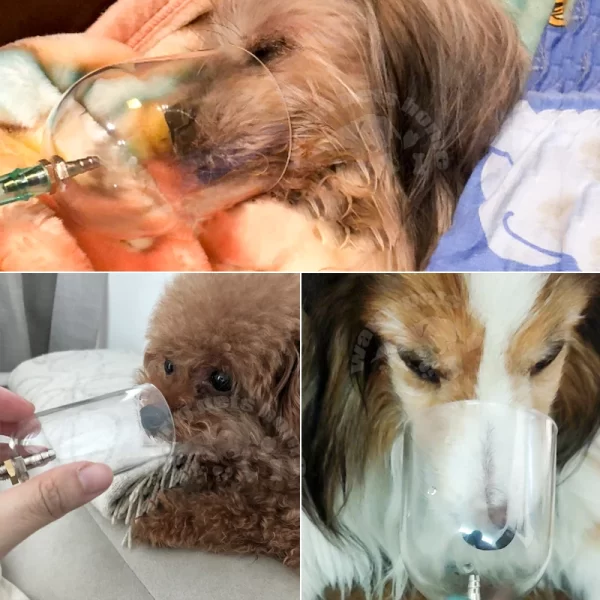 Pet Dog Oxygen Mask Kit Oxygen Inhalation Atomizing Mask for Long-nosed Animal Veterinary Instrument - Image 6