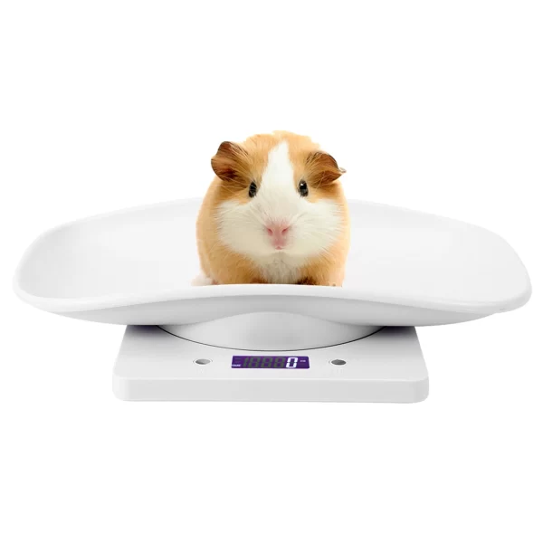 10kg/1g Digital Small Pet Weight Scale for Cats Dogs Measure Tool Electronic Kitchen Scale - Image 2