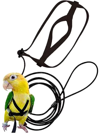 Parrot Bird Harness Leash Outdoor Activities Flying Traction Straps Band Flying Rope For Small Parakeets Cockatiels Bird NEW
