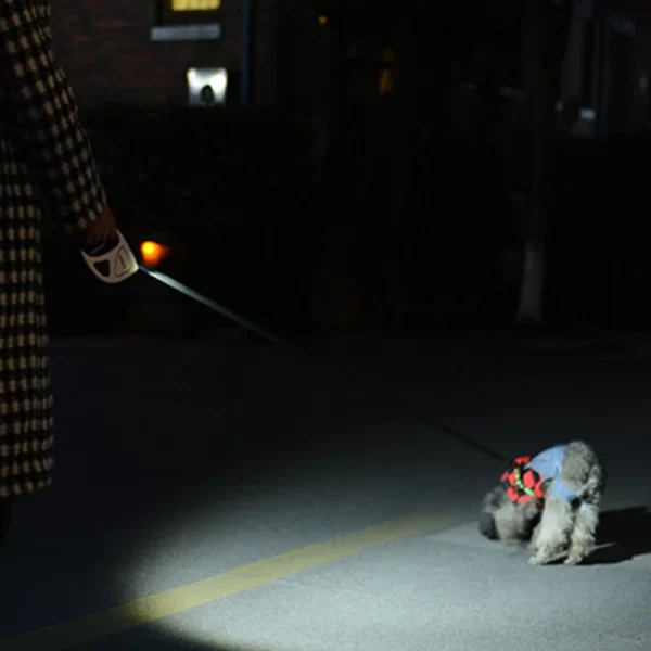 5M Long LED Big Dog Leash Automatic Retratable Pet Leashes for Small Medium Large Dogs Alaska Doberman mascotas Dog Accessories - Image 3