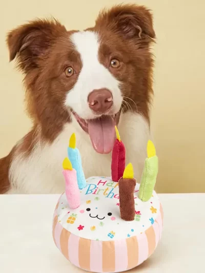 Birthday Cake Pet Dog Soundmaking Interest Toys Bite Resistant Molar To Pass The Time Plush Gnaw Toys Birthday Gift