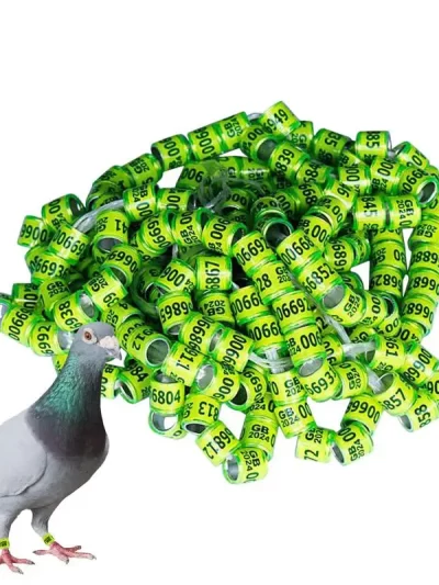 Pigeon Identification Rings 50pcs Safe Birdhouse Accessories Universal Pigeon Supplies Bands Bird Foot Rings Pegeon Accessories