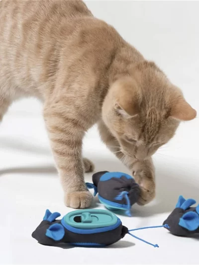 Cat Toy Indoor Hunting Snacker Dispenser Slow Feeder Funny Leakage Food Toy for Cats Who Love to Search and Hunt Pet Accessories