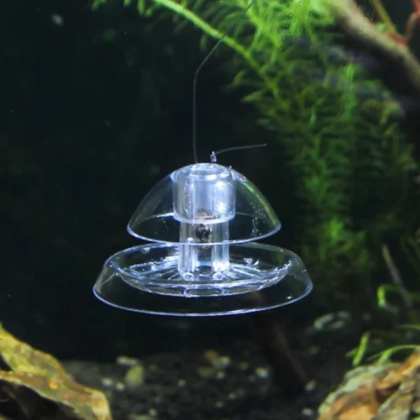 Fish Tank Accessories Aquarium Plant Snail Trap Catcher Plastic Leech Planaria Pest Catch Box Fish Tank Aquarium Cleaning Tool - Image 2