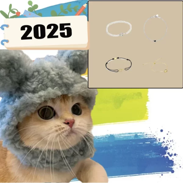 2025 New high-end Spanish fashion cat accessories, fashionable pet gifts holiday party gifts, high-quality high-end products 10
