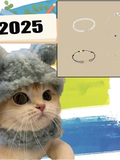 2025 New high-end Spanish fashion cat accessories, fashionable pet gifts holiday party gifts, high-quality high-end products 10