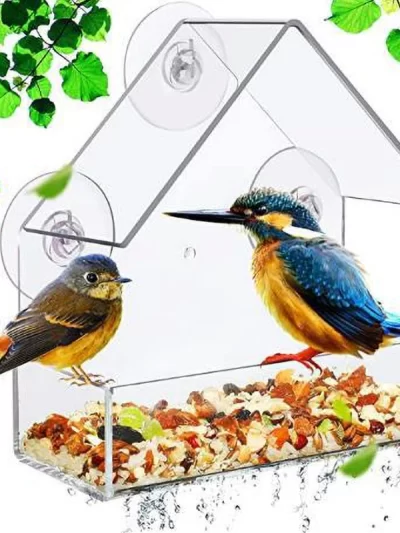 Bird Feeder Birds House for Outdoor, Window Bird Feeder with Strong Suction Cups for Wild Birds, Cardinal, Bluebird