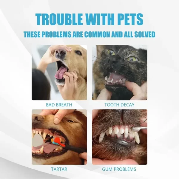 Pet Toothpaste Cat Dog Fresh Breath Toothpaste Dog Edible Cleaning Oral Plaque Tartar Pet Toothpaste Care Products Deod R6E6 - Image 7