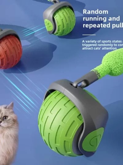 Pet Self-Stimulation and Boredom Cat Accessories Resistant to Chewing Accessories for Cats Cat Stuff Funny Cat Ball Toys Home
