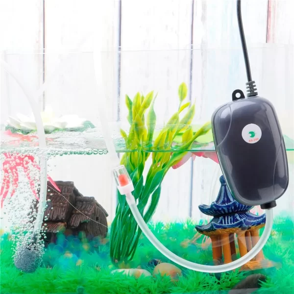 Aquarium Air Pump Fish Tank Mini Compressor Single Double Outlet with Check Valve Tube Aquatic Accessories 220V 3W 5W - Image 22